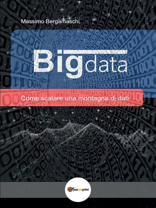 Title details for Big Data by Massimo Bergamaschi - Wait list
